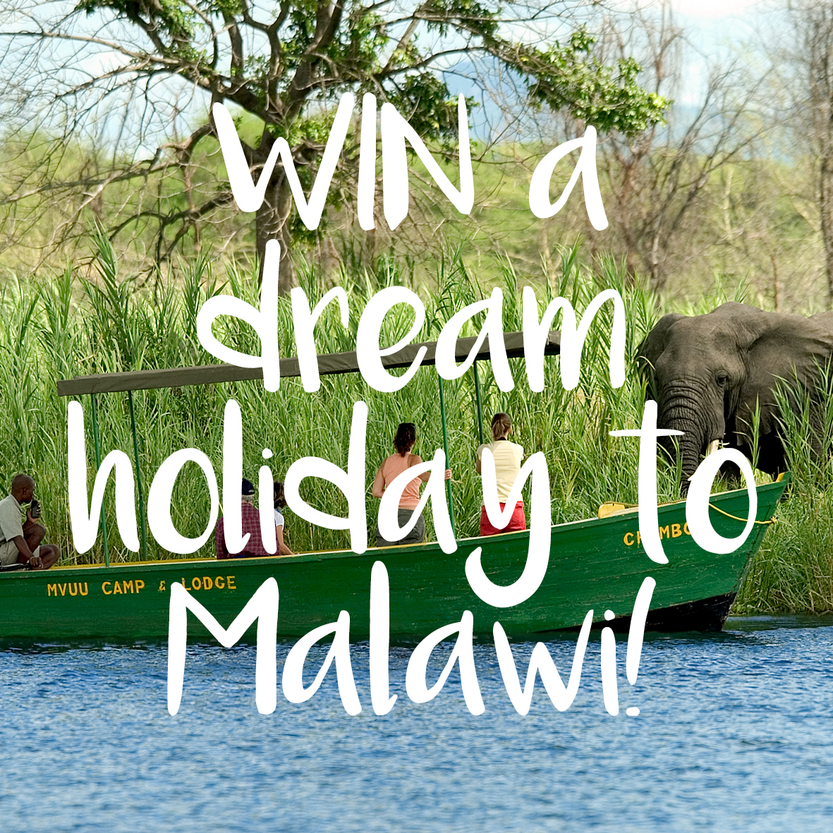 Win a dream holiday pic