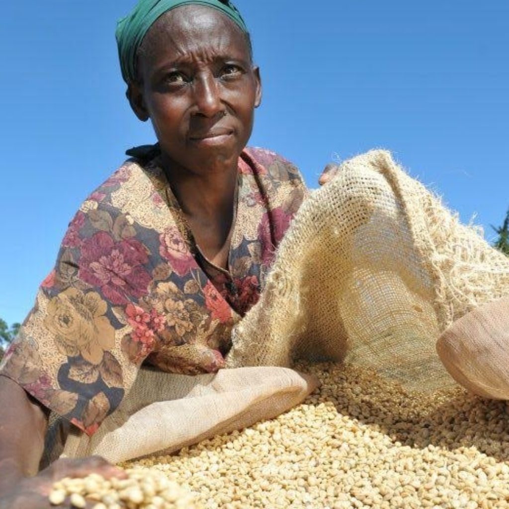 Malawi Coffee Farmer